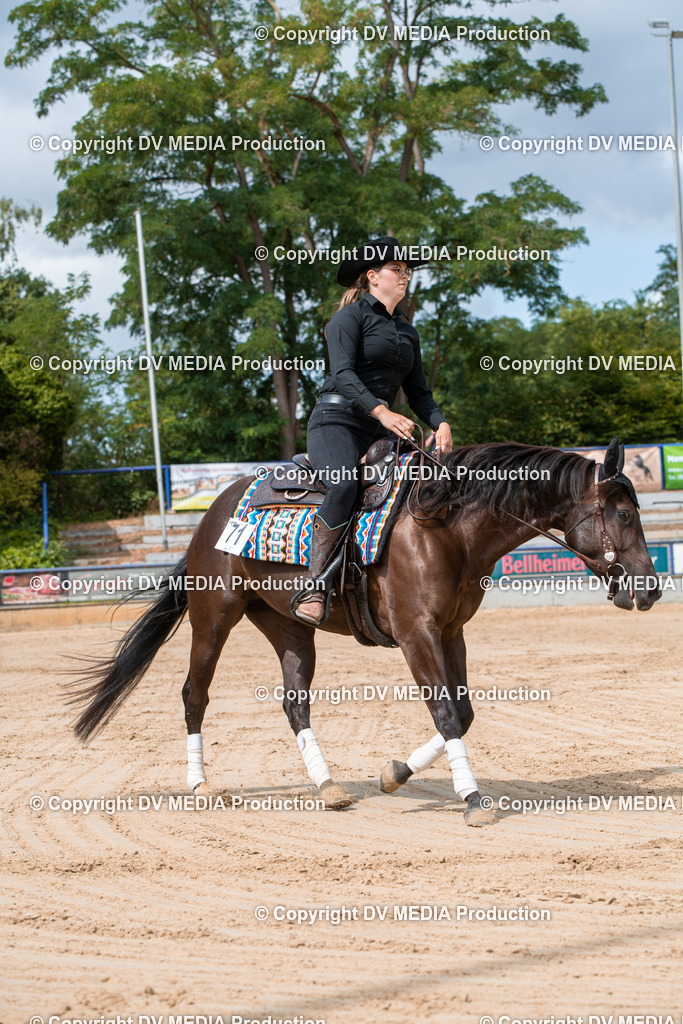 ZS3_9488 | dv-media-shop - Realisiert mit Pictrs.com