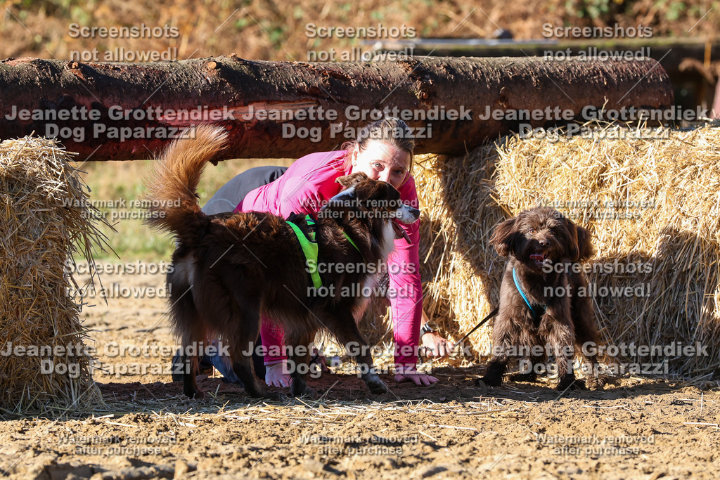 Dog Paparazzi - Strongdog 10-25-1746 | Dog Paparazzi Jeanette Grottendiek Fotografie & Videografie - Realisiert mit Pictrs.com