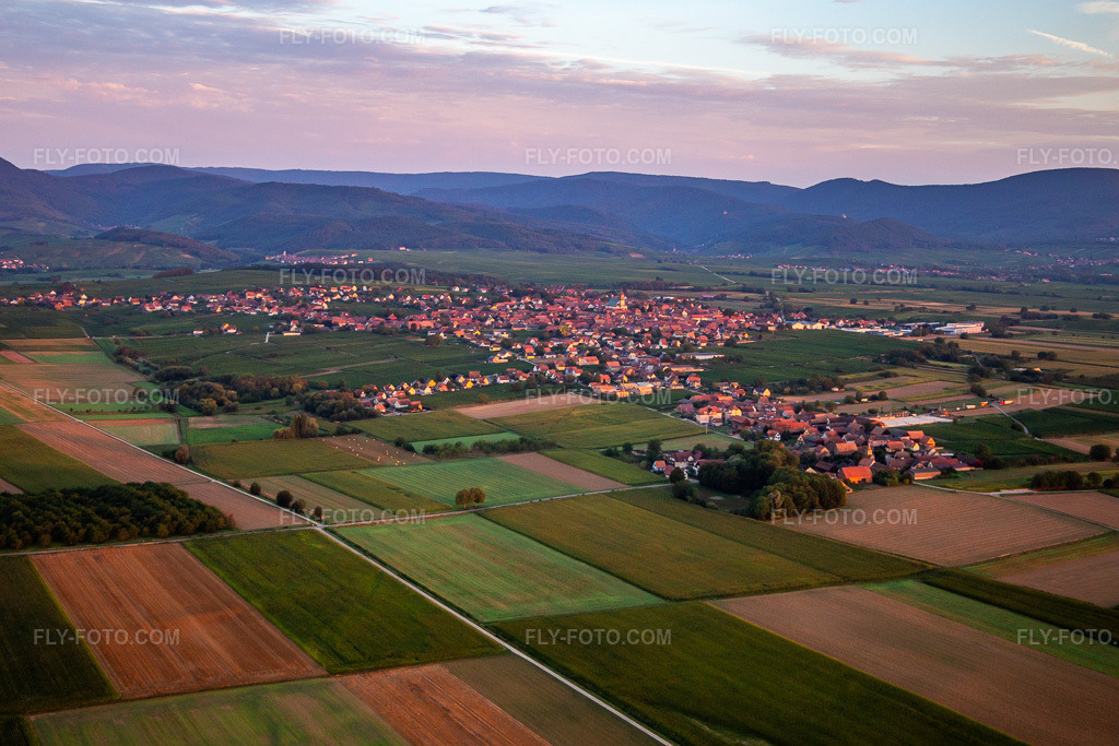 Aerial view: In the morning from the southeast in Epfig in the state Bas-Rhin, France. – Photo: IMG_137939.jpg taken on 08/19/2023 by Werner Riehm/FLY-FOTO.com – Resolution of the original: 5030 x 3353 px
