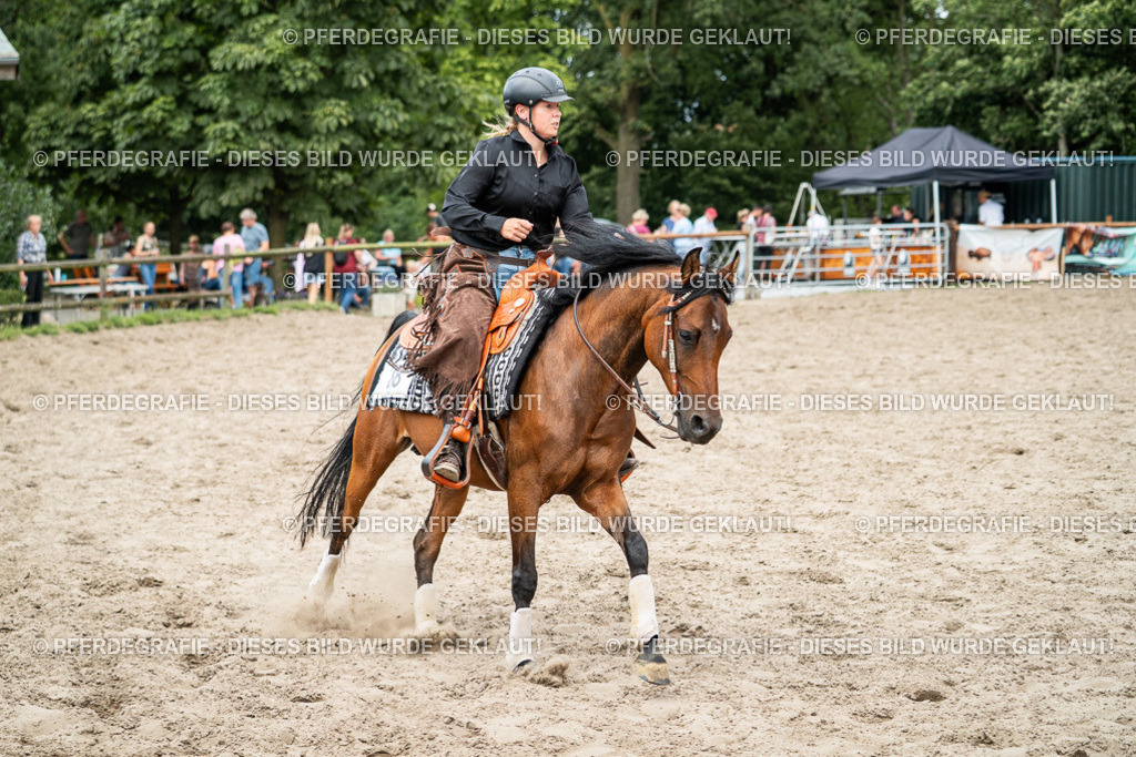 DSC01971 | Pferdegrafie