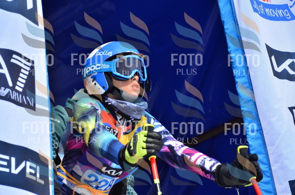 _ELE1613 | holidayphoto