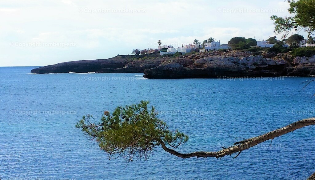 20150202_112432 (3) | romberg-arts, romberg-arts.de, www.romberg-arts.de, Foto_Online_Shop, Julia Fuhrmann, Köln, Fotos, Fotografie, Fotokunst, Kunstdrucke, Naturfotos, Aktfotos, Nacktfotos, schwarz_weiß_Fotos, Blumenfotos, Blumen, Tiere, Beton, Korrosion, Lächeln, Drucke