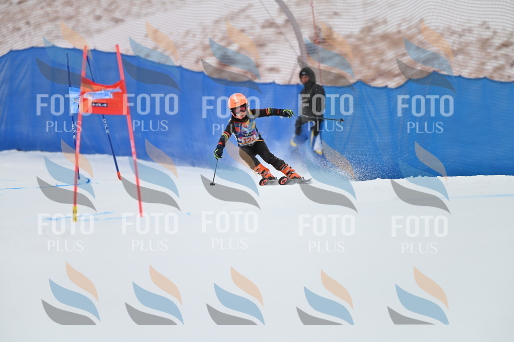 BGV_9859 | holidayphoto