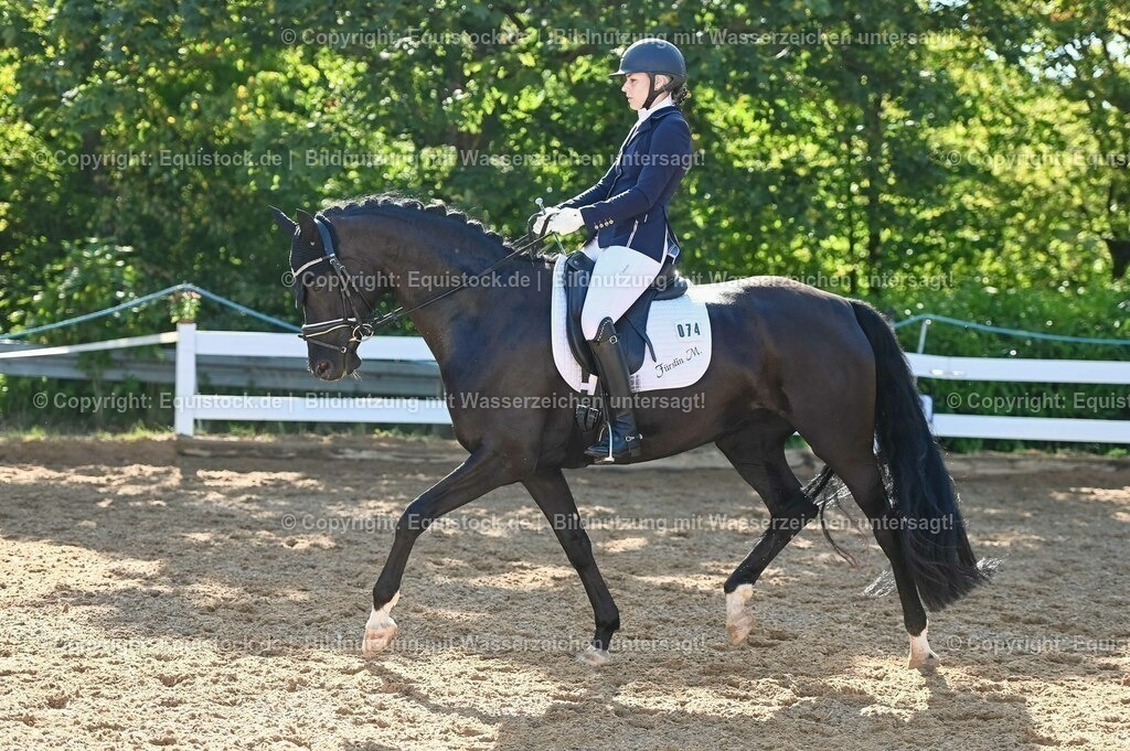 20230715_06_Dressurpferdeprfg. Kl.A_0238 | equistock