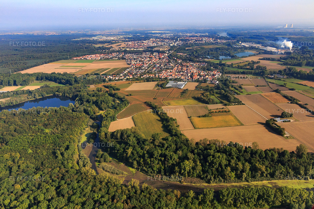 Luftbild: Michelsbach fliest aus einem See im Wald der Rheinauen am Brandgraben im Ortsteil Sondernheim in Germersheim im Bundesland Rheinland-Pfalz in Deutschland. Foto: IMG_094762.jpg vom 24.09.2016 durch Werner Riehm/FLY-FOTO.de