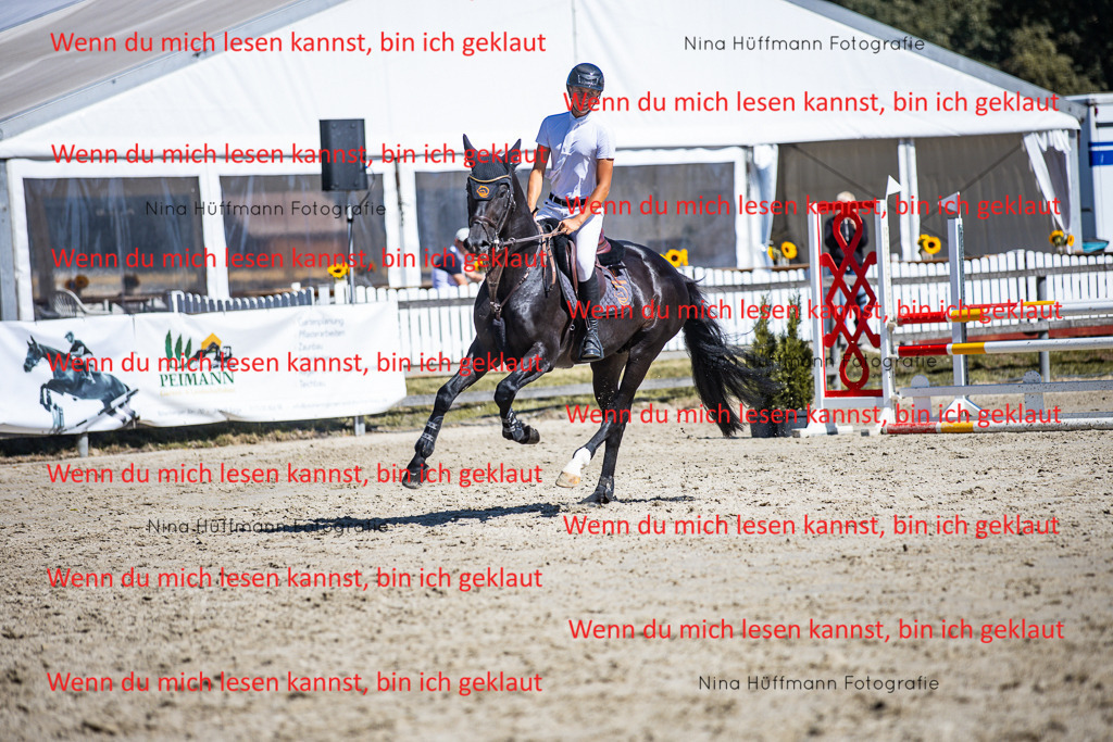BK1A5603 | Turnierbilder Turnierfotos Nina Hüffmann Turnierfotografie Pferdefotografie Tierzeichnung Haustierzeichnung Pferdezeichnung Hundezeichnung Videograf  - Realisiert mit Pictrs.com