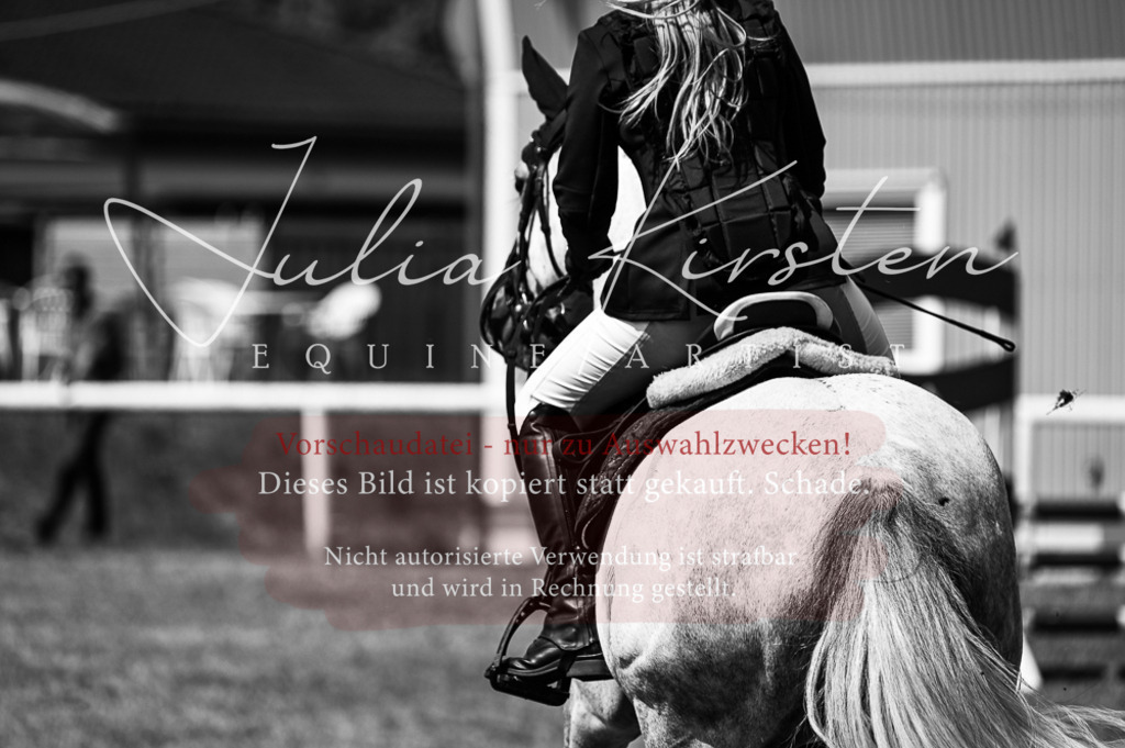 DSC_8813 | Pferde- und Turnierfotografie in Westsachsen. Pferdeportraits, Auftragszeichnungen und intuitive Kunst.