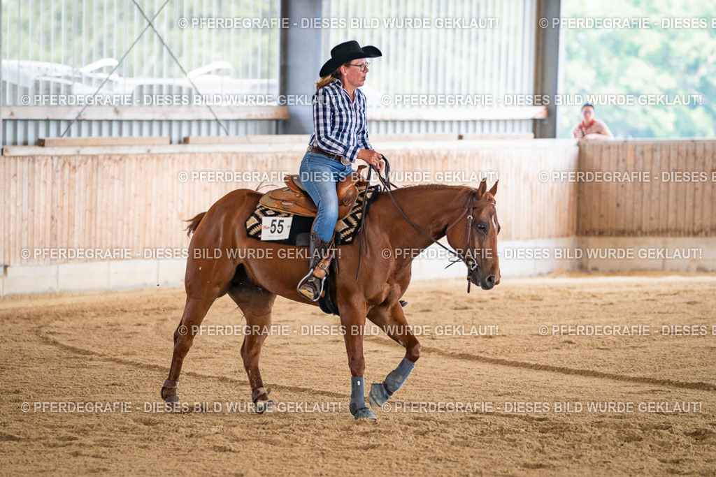 DSC04333 | Pferdegrafie