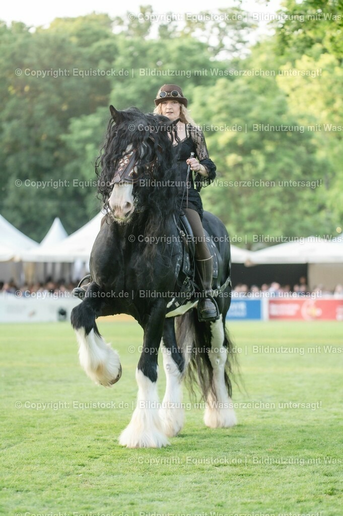 20230526_Pferdenacht_0311 | equistock