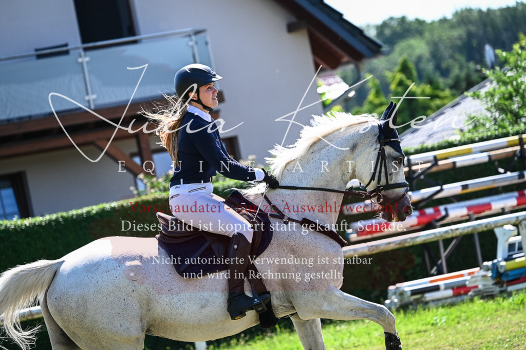 DSC_1395 | Pferde- und Turnierfotografie in Westsachsen. Pferdeportraits, Auftragszeichnungen und intuitive Kunst.