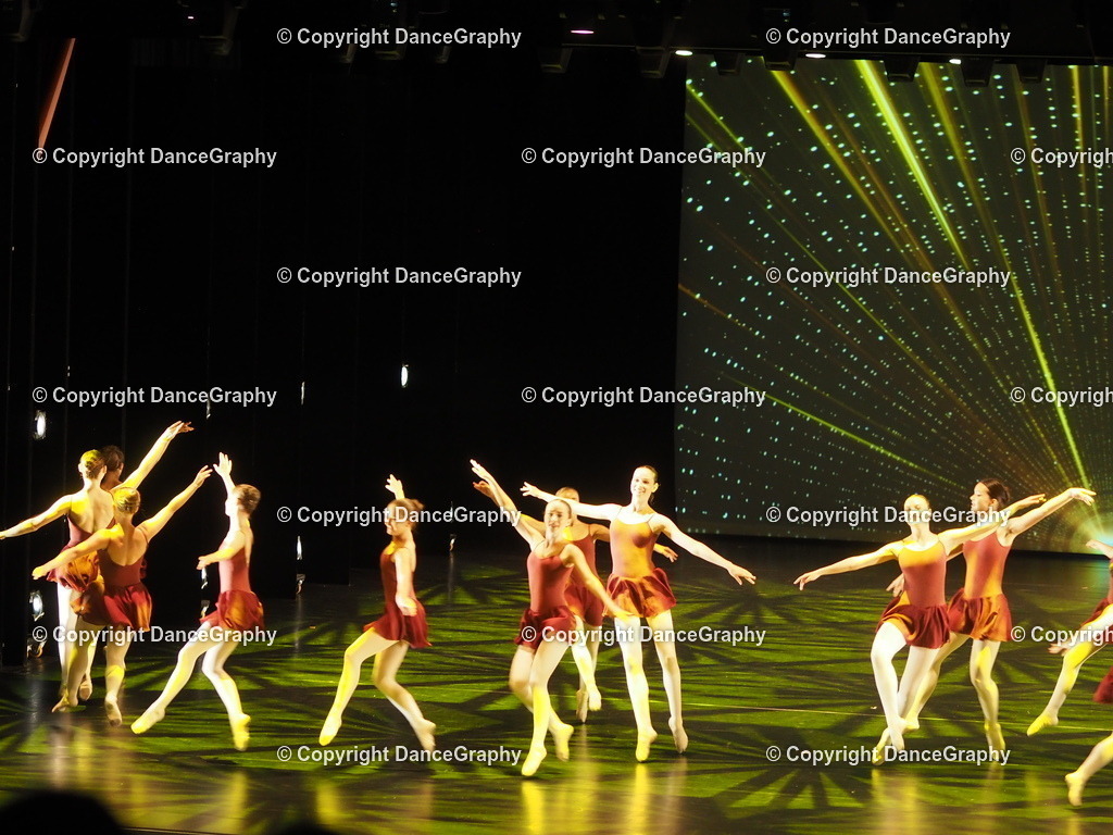 P7260394 | DanceGraphy - Realisiert mit Pictrs.com