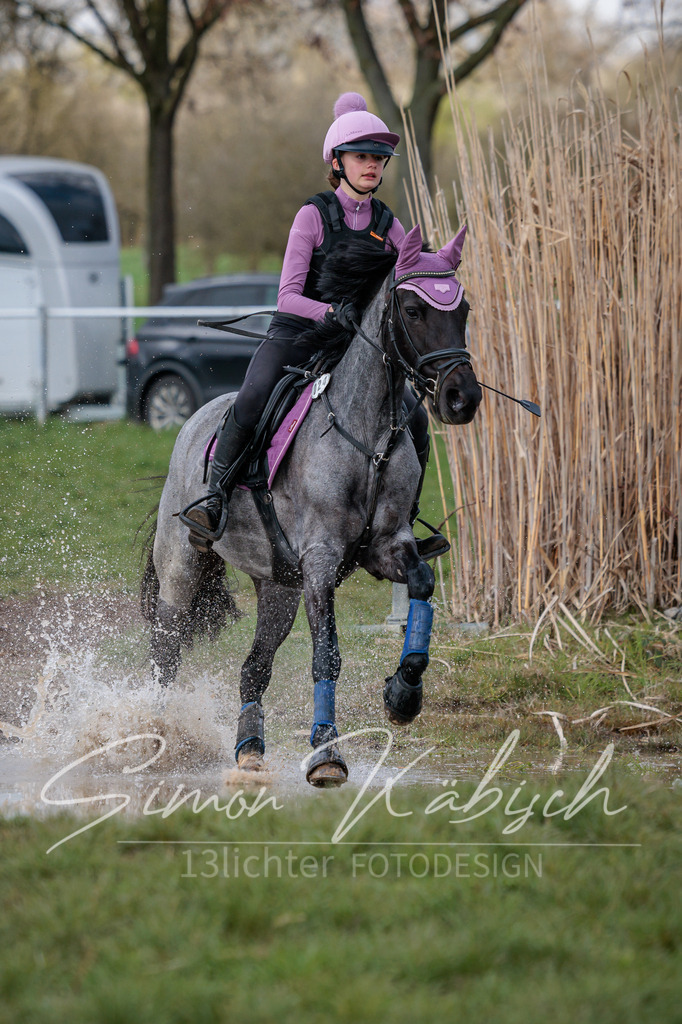 20260329-_3LI4790 | Tierfotografie Pferde, Hunde, Katzen, Haustiere.
Turnierfotografie Reitturniere, Reiten, Springreiten, Dressur in Hanau, dem Main-Kinzig-Kreis und dem Rhein-Main- Gebiet um Frankfurt