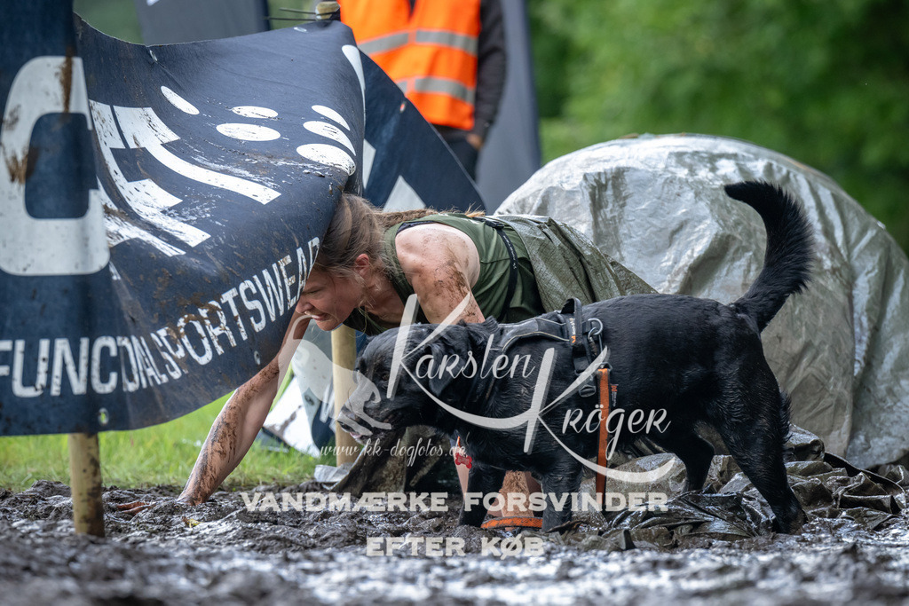 1138_ZZ93744 | kk-dogfotos