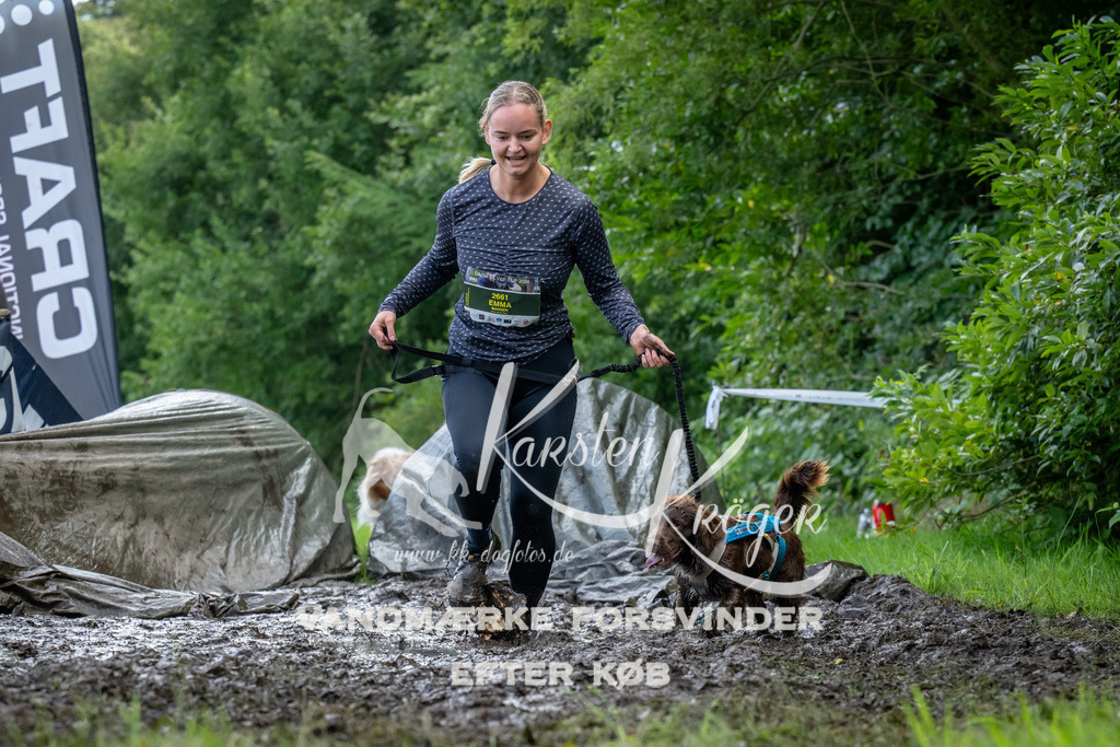 1144_ZZ94064 | kk-dogfotos