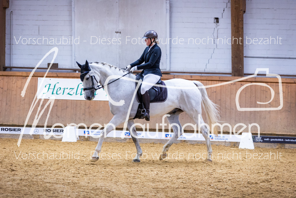 Sth-A-Dre-2St-078 | MomenTaufnahmen Pferdesportfotos