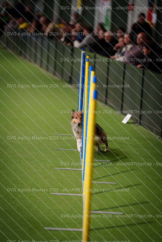 allesWIRTHgut_Tierfotografie-DVG_Agility_Masters_2026-16_31-7R503719 | Professionelle Tierfotografie in Mönchengladbach von Daniel Wirth (allesWIRTHgut). Liebevolle & natürliche Bilder von Hunden & Katzen für unvergessliche Erinnerungen.
