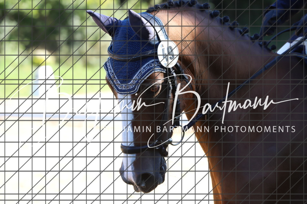 IMG_4786 | Benjamin Bartmann Photomoments