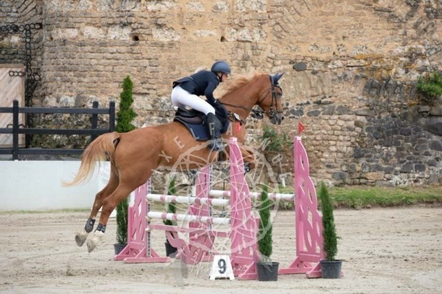 2B4A1624 | pixelfaenger - Realisiert mit Pictrs.com