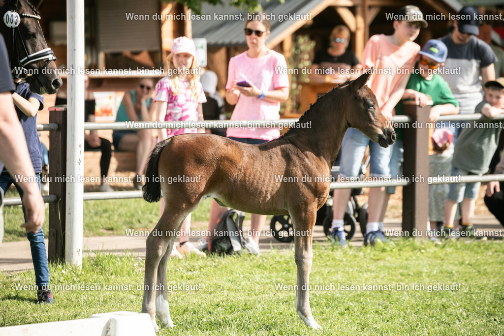 598A6911 | photographylinaismer - Realisiert mit Pictrs.com