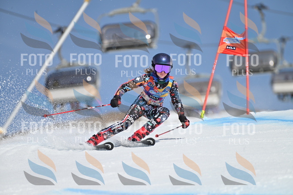 BGV_8957 | holidayphoto