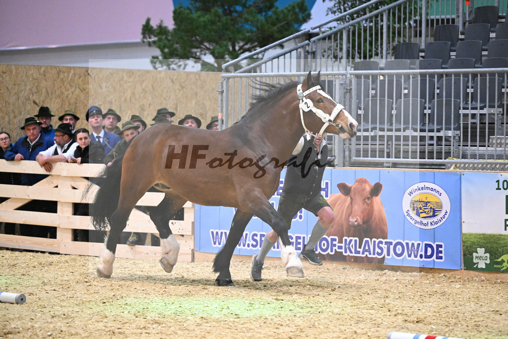 Kat-Nr. 2 Spitzingsee v. Schwanstein_Holl_1260033 | hf-fotografie - Realisiert mit Pictrs.com