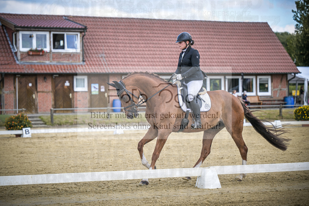 DOS_4948 | Entdecke hochwertige Reitturnierfotos von Foto Oger. Professionell, emotional und authentisch – jetzt Lieblingsmomente im Shop bestellen.Deutschlandweite Turnierfotografie. - Realisiert mit Pictrs.com