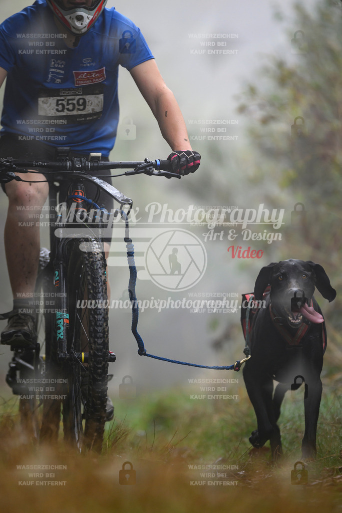 MompixPhotography_20TSB_E4_Bike-98 | PayLife