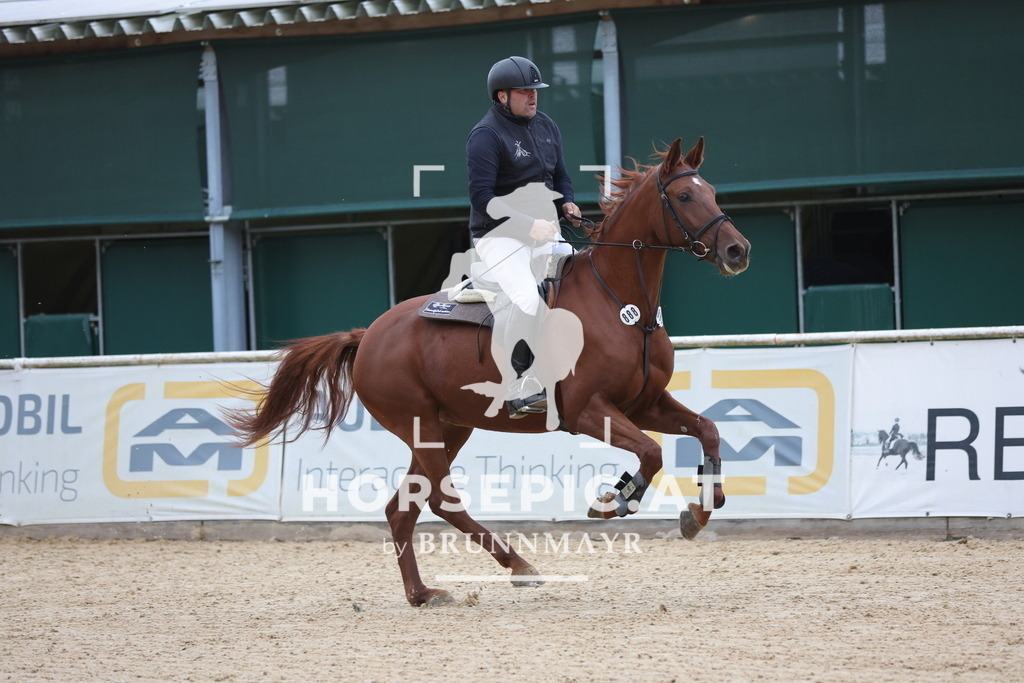 0P6A0495 | Willkommen bei Brunnmayr - Design & Fotografie – Ihrem Spezialisten für Reitturniere und Pferdeveranstaltungen in Oberösterreich, Salzburg und Bayern! Seit über 17 Jahren sind wir leidenschaftlich dabei.