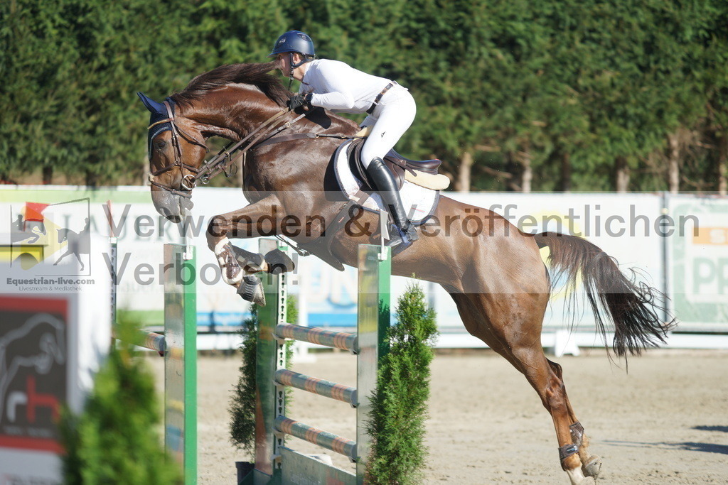 DSC01216 | equestrian-live-com