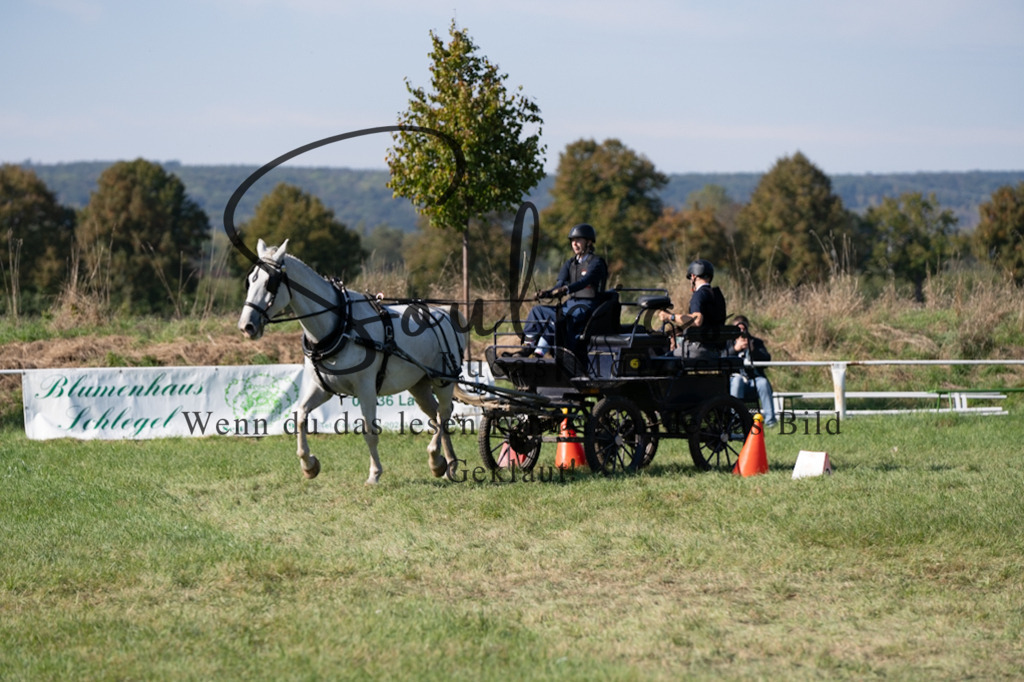 A7V04330 | Pferdefotograf