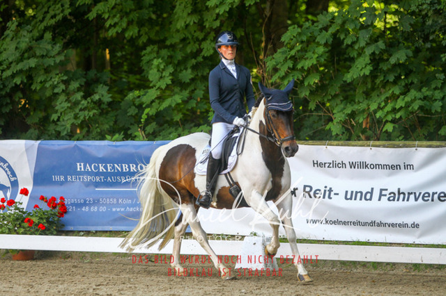 DKP42724 | Turniersportfotografie; Pferdefotografie; Dressurfotografie