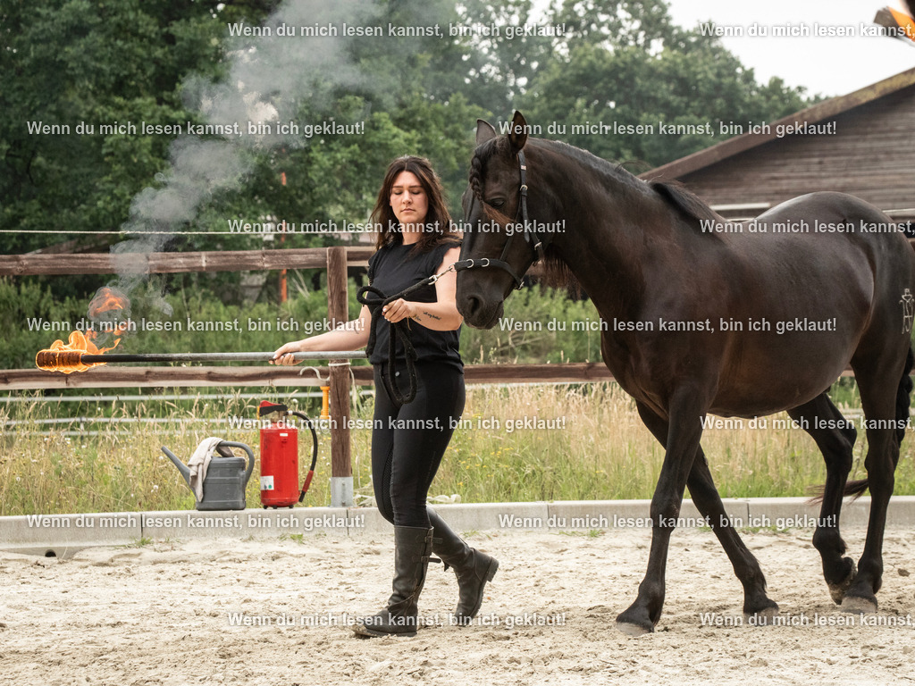 598A7233 | photographylinaismer - Realisiert mit Pictrs.com