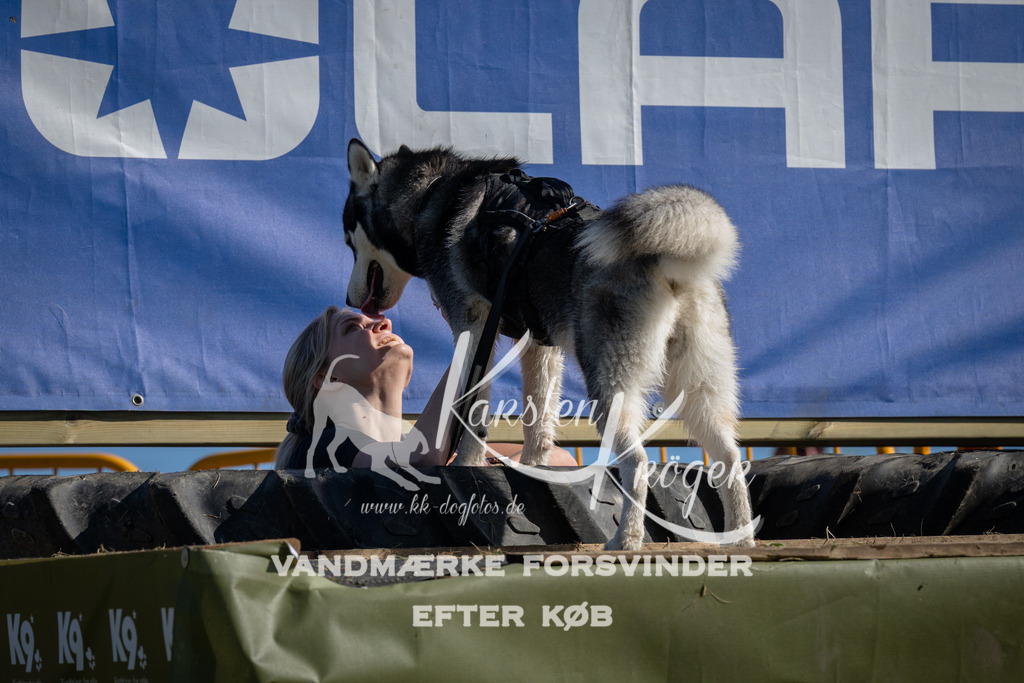 1022_ZZ98322 | kk-dogfotos