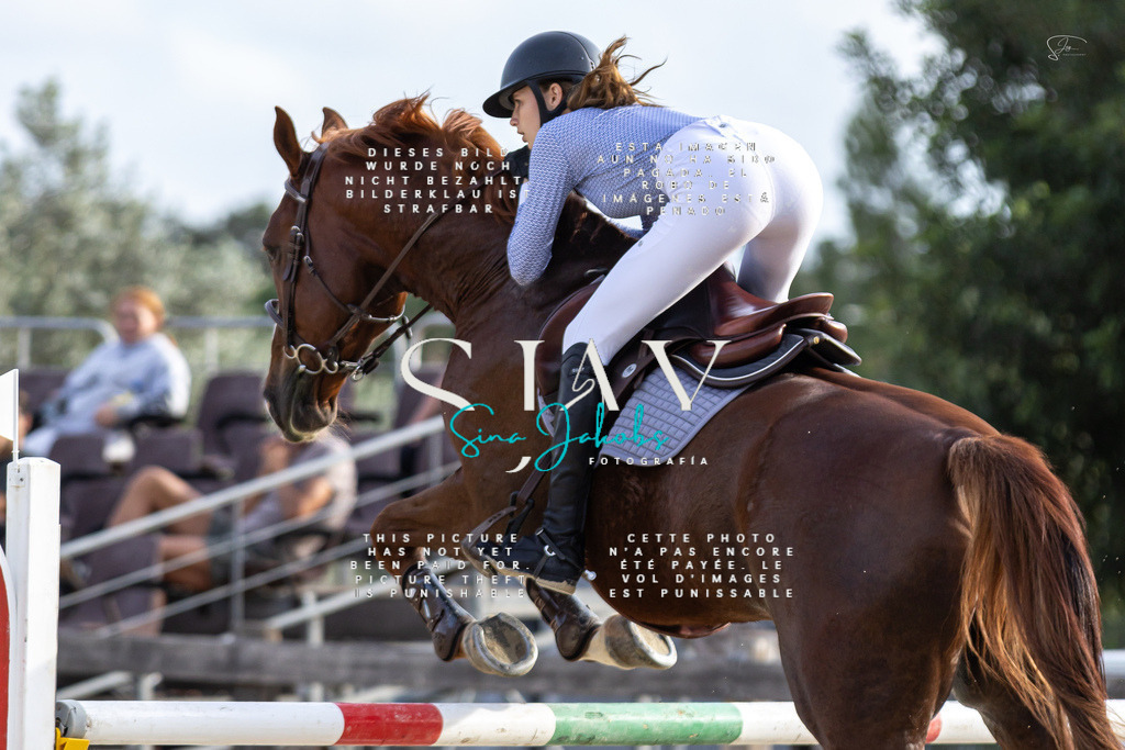 IMG_4565 | s-jay-photography - Realisiert mit Pictrs.com