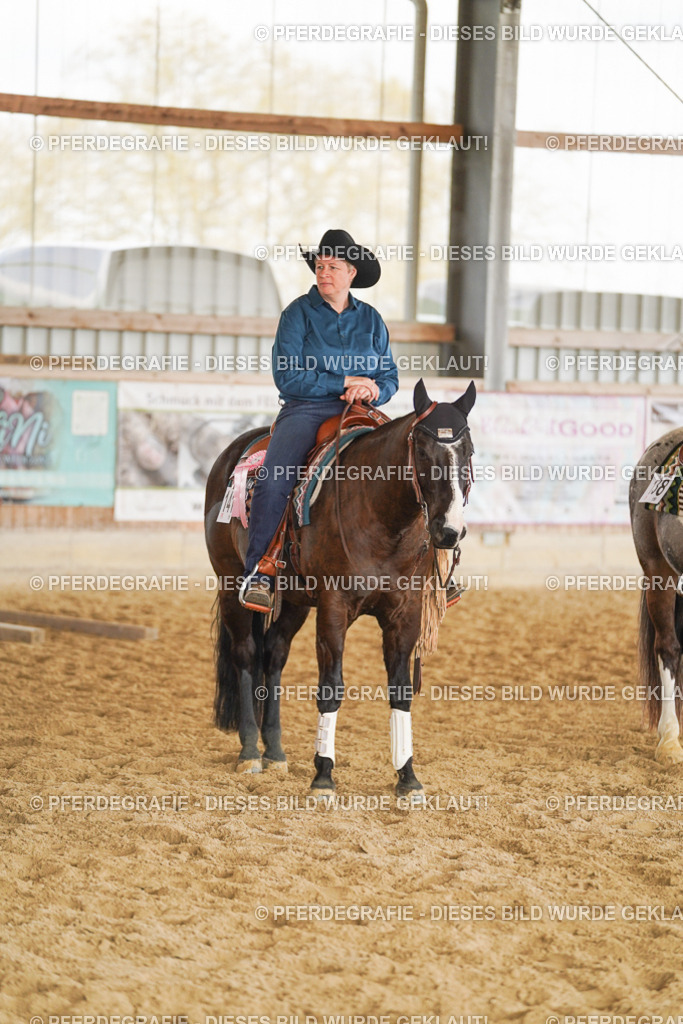 DSC02278 | Pferdegrafie