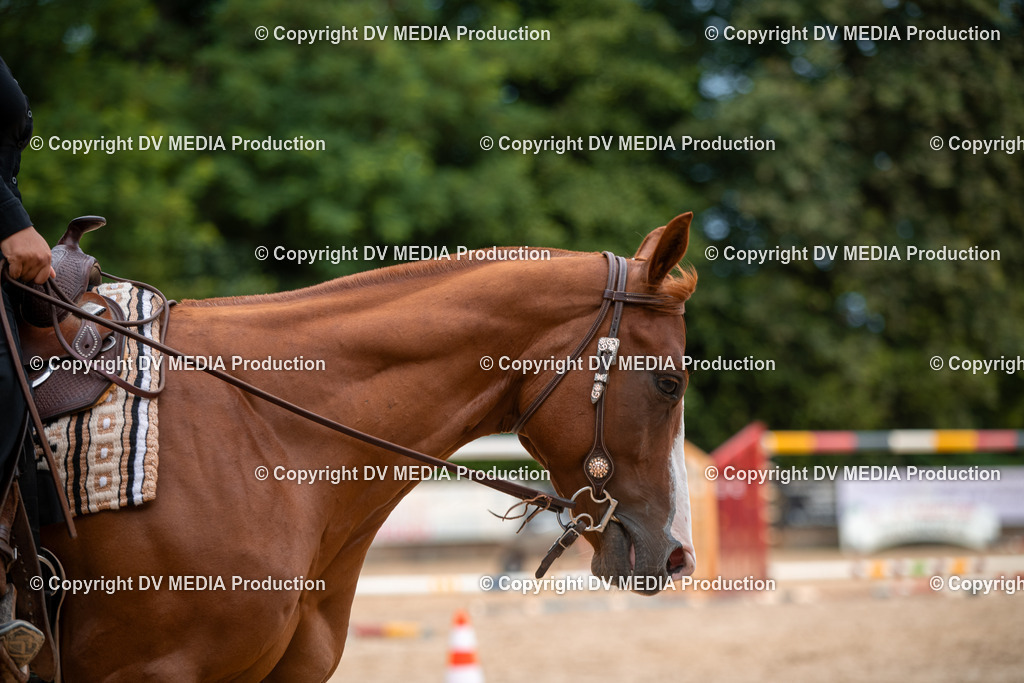 ZS2_8030 | dv-media-shop - Realisiert mit Pictrs.com