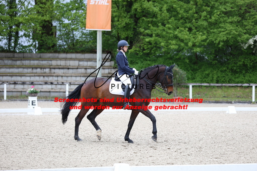 A40A0753 | lmwpictures - Realisiert mit Pictrs.com