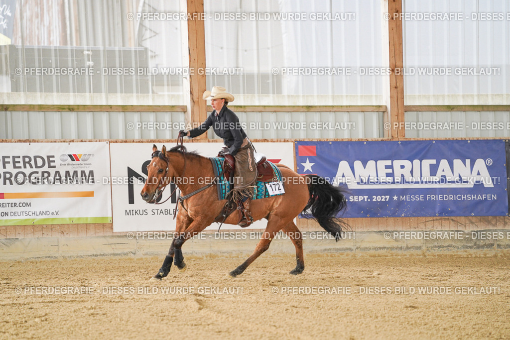 DSC03033 | Pferdegrafie