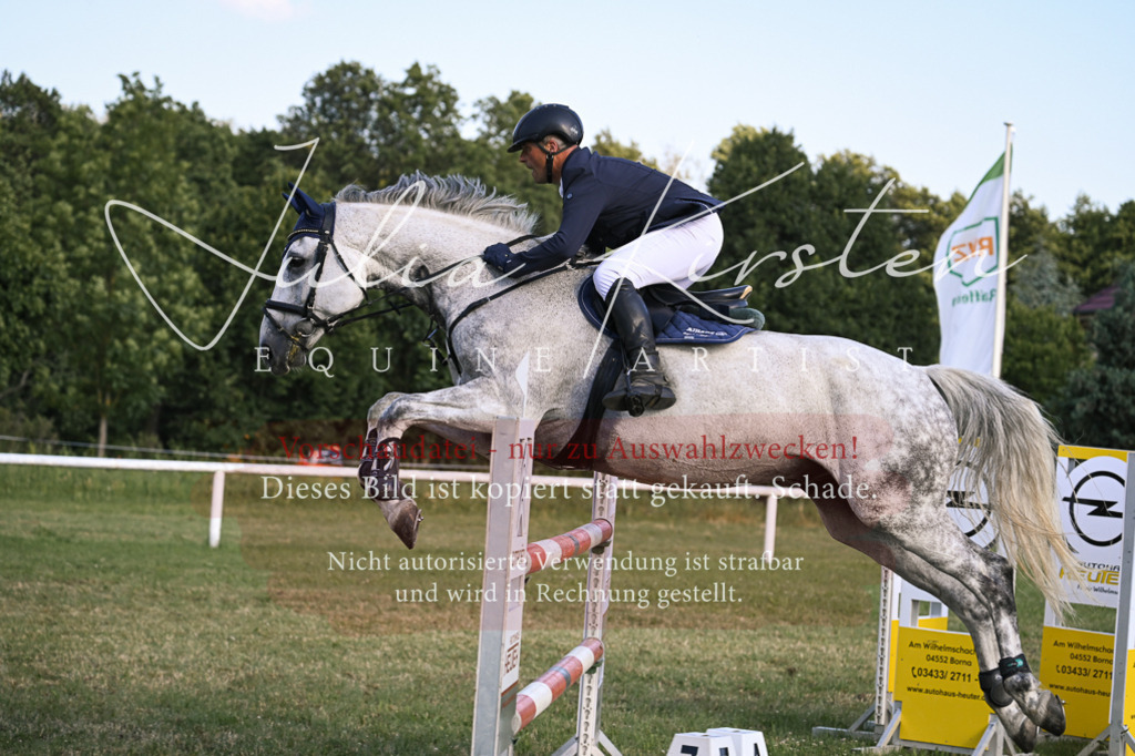 DSC_1725 | Pferde- und Turnierfotografie in Westsachsen. Pferdeportraits, Auftragszeichnungen und intuitive Kunst.
