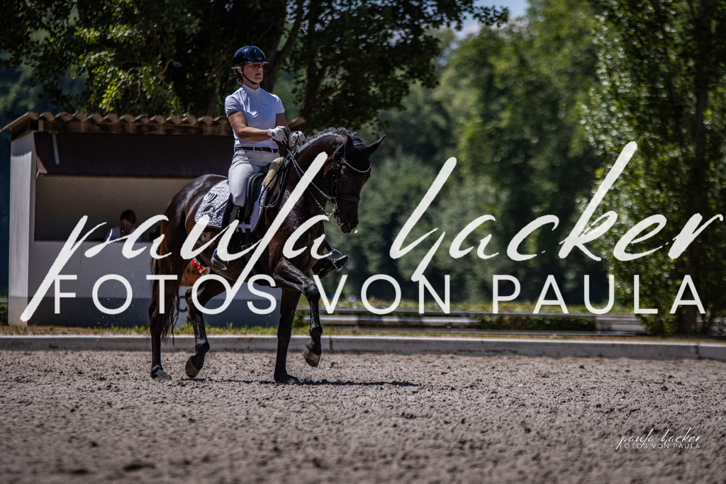 IMG_8452 | Erleben Sie dynamische Sport- und emotionale Tierfotografie in Süddeutschland mit Fotos von Paula. Spezialisiert auf Pferde- und Hundefotografie sowie Sportevents. Kontaktieren Sie mich für einzigartige und ausdrucksstarke Bilder Ihrer besonderen Momente. - Realisiert mit Pictrs.com