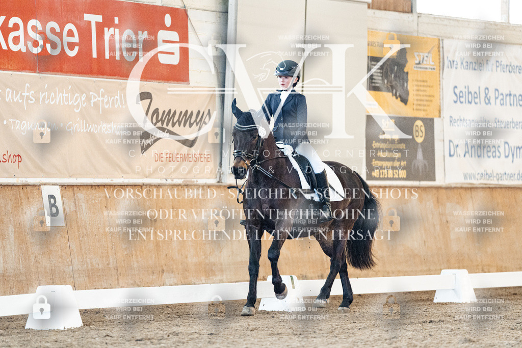 CK906762 | Turnierfotografie Pferdefotografie Trier Rheinland-Pfalz Pferdesport Reitsport Tierfotografie Sportfotografie Pferdevideo Pferdevideografie Equestrianvideography equestrianphotography  - Realisiert mit Pictrs.com
