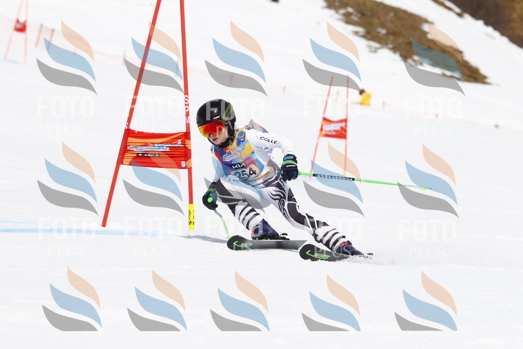 _U3G6395 | holidayphoto