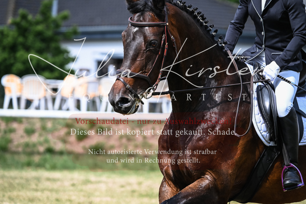 DSC_8322 | Pferde- und Turnierfotografie in Westsachsen. Pferdeportraits, Auftragszeichnungen und intuitive Kunst.