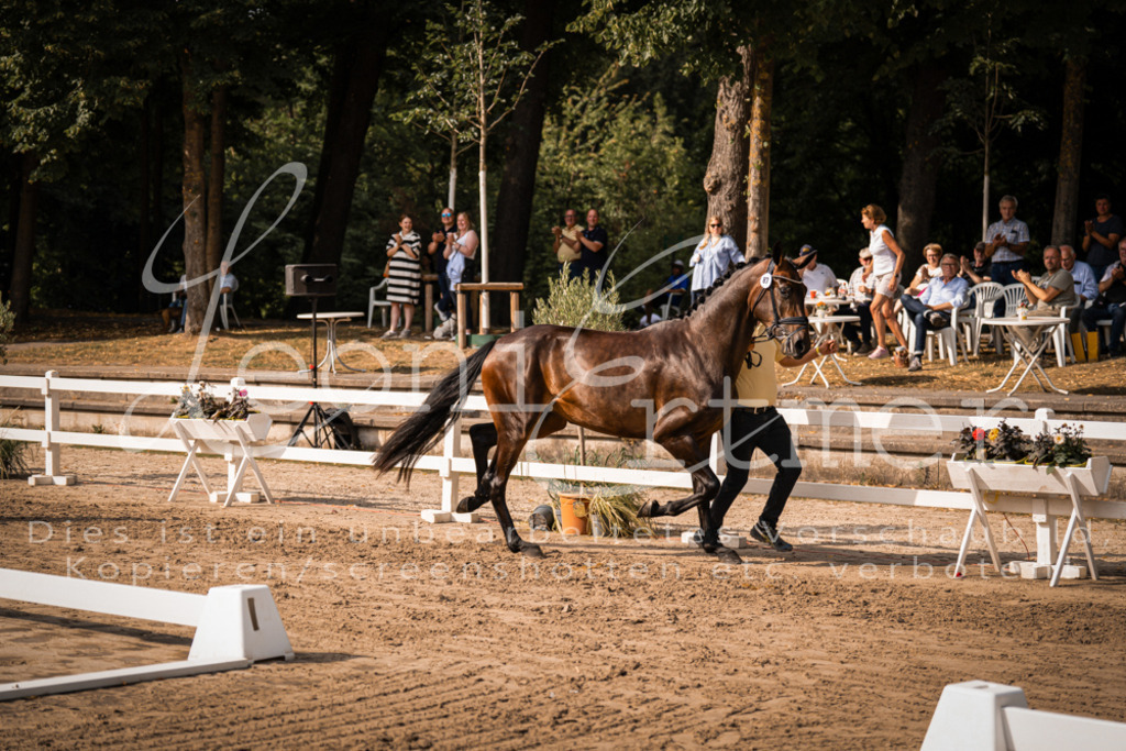 FrER00189 | Leoni Ertmer Photography - Realisiert mit Pictrs.com