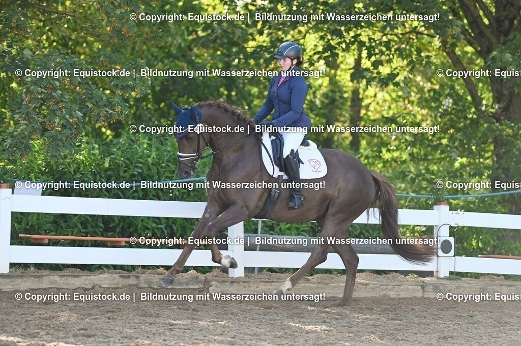 20230715_06_Dressurpferdeprfg. Kl.A_0154 | equistock