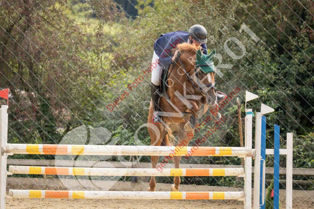 CON_6904 | Sport-, Event- und Tierfotos in Profiqualität. Einfach auswählen, bestellen und herunterladen. Dein Moment – perfekt festgehalten.