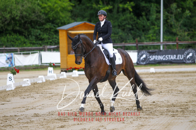 DKP47749 | Turniersportfotografie; Pferdefotografie; Dressurfotografie