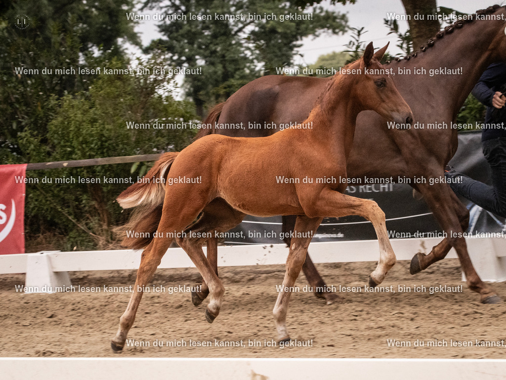 A10I6855 | photographylinaismer - Realisiert mit Pictrs.com