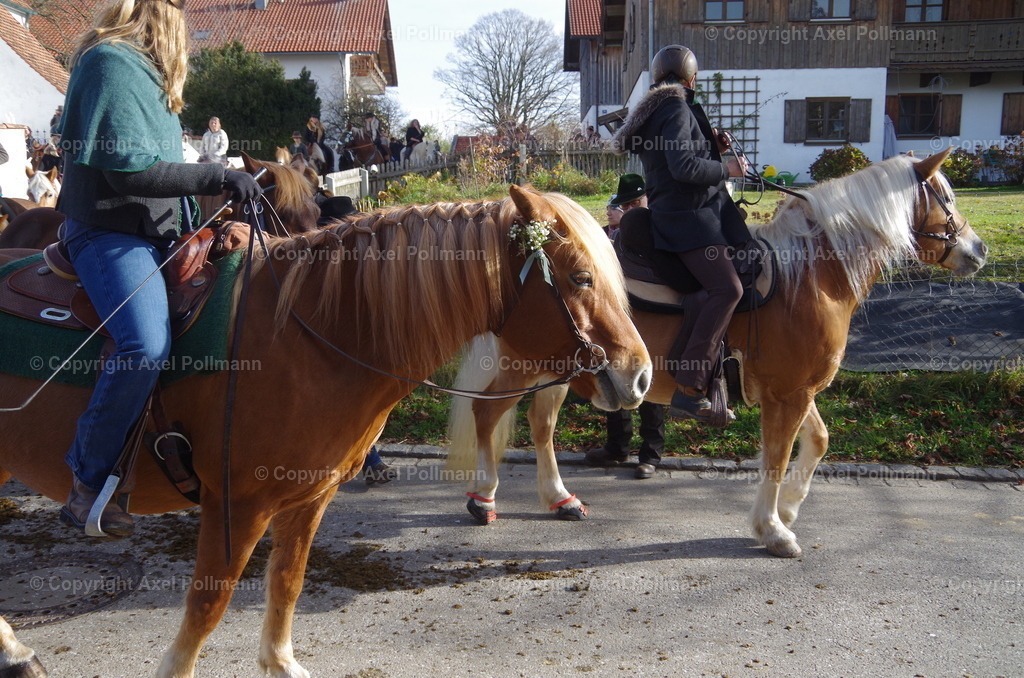 IMGP1544 | fotografiert von Axel PollmannLeonhardi Wallfahrt Benediktbeuern und Murnau, Fronleichnam, Fasching, Landschaft im Loisachtal und Benediktbeuern  - Realisiert mit Pictrs.com