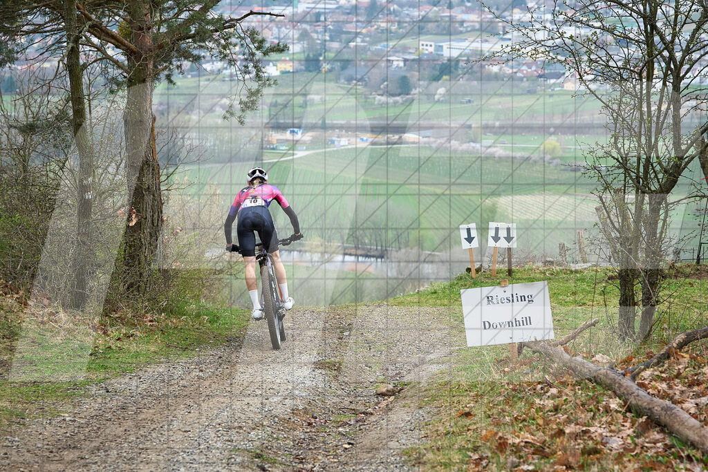 34. KTM Kamptal Trophy  | ZÖBING, Österreich – 2026-03-29: 34. KTM Kamptal TrophyFoto: © 2026 Martin Bihounek - MB Creative e.U.